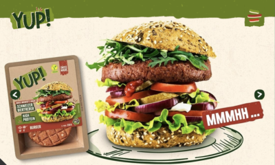 YUP Website Steigertext